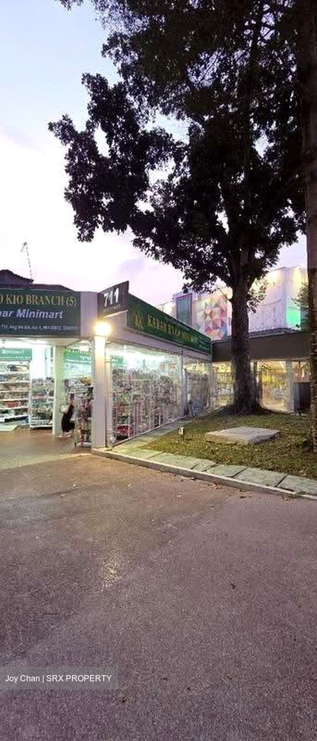 711 ANG MO KIO AVENUE 8 (D20), Shop House #623046521